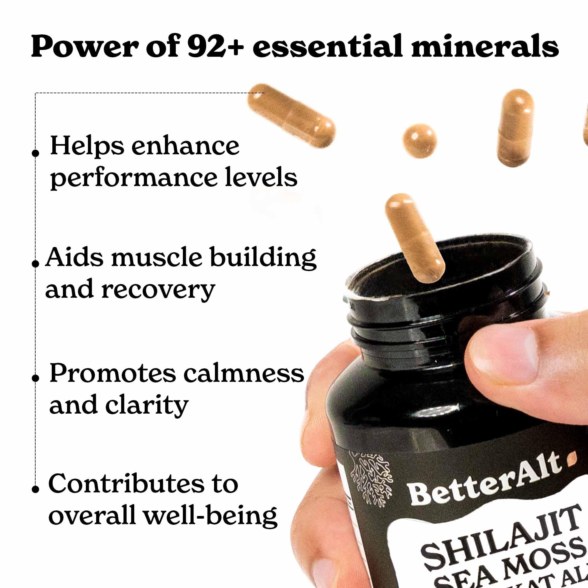 Better Alt high fulvic shilajit all in one herbal supplement label details showing ingredients