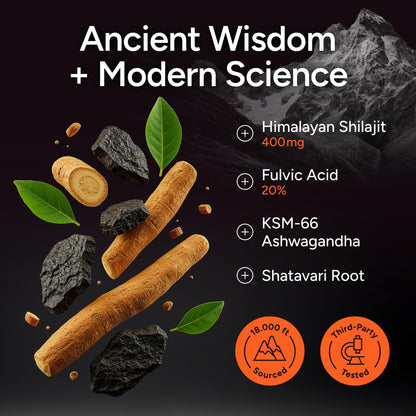 Premium Purify Life shilajit and KSM 66 ashwagandha capsules alternative gummy presentation.
