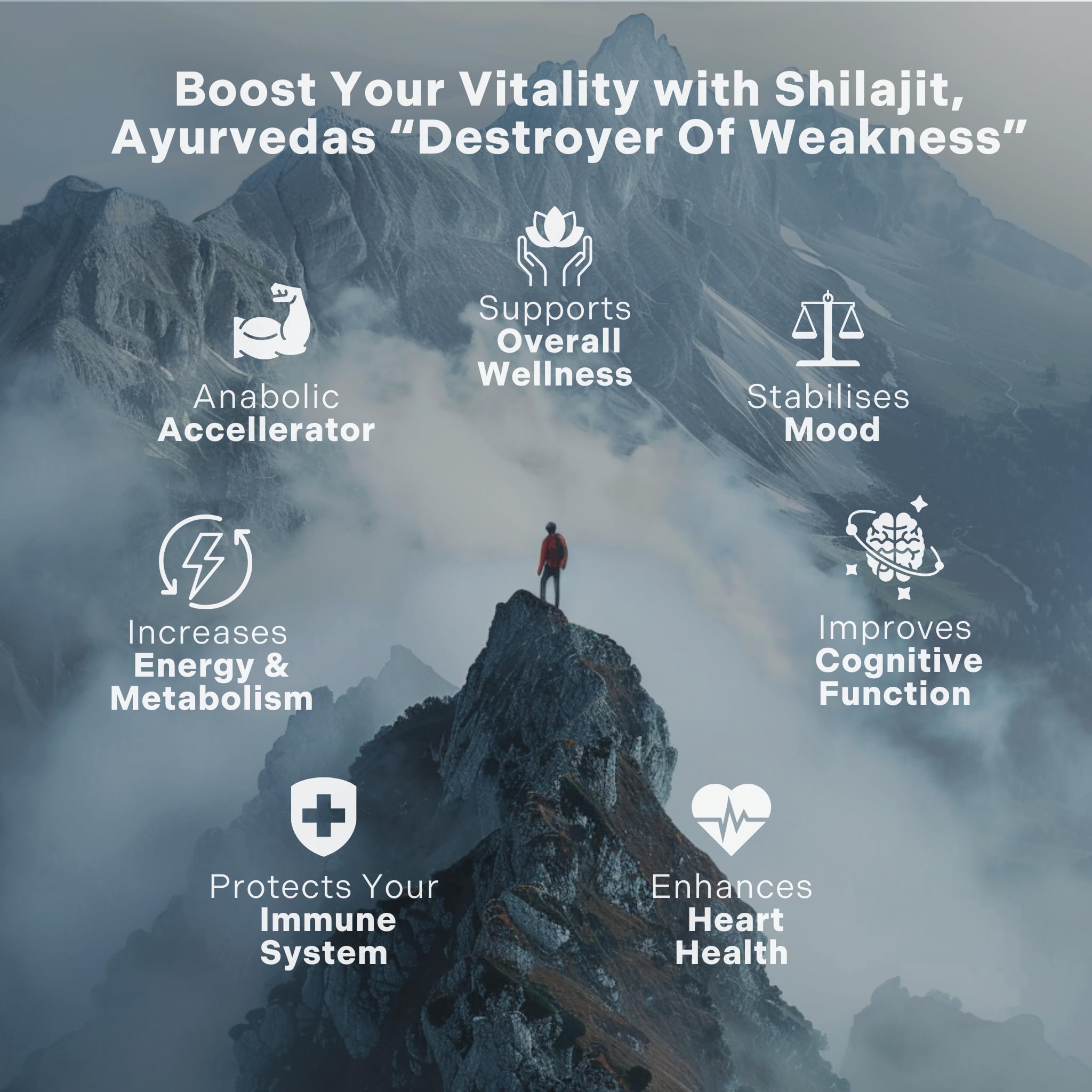 Essencraft Shilajit 120 vegan capsules nutritional facts and trace mineral profile label