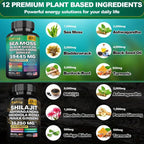 Auivty multi ingredient wellness bundle lifestyle layout showcasing premium vegan capsules