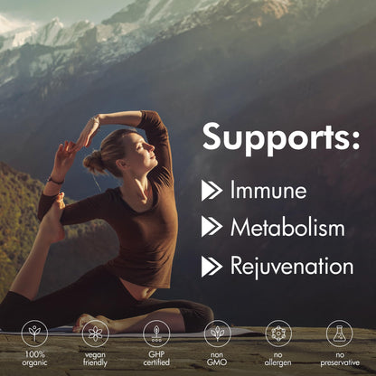 Travel friendly black bottle of The Monk organic shilajit capsules for men and women wellness.