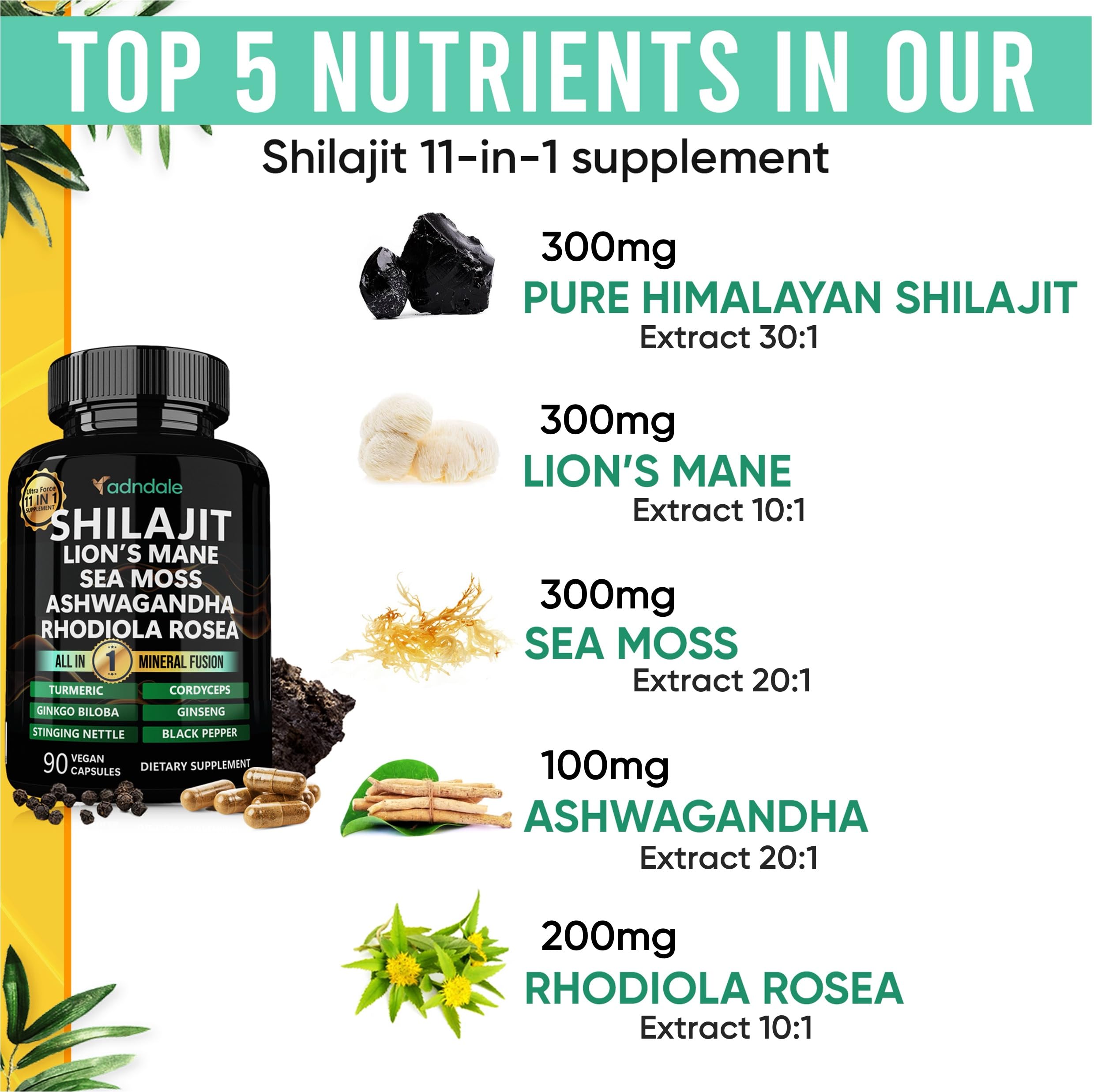 Adndale advanced multi blend vegan capsules supplement facts and ingredient list label view.