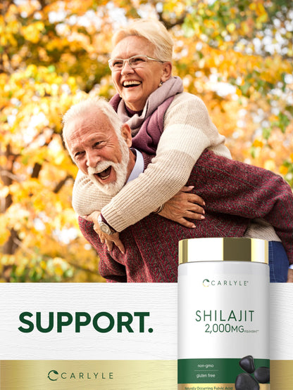 Premium high altitude Himalayan Shilajit capsules daily dosage information