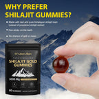 Authentic Himalayan shilajit vegan capsules for stamina and energy support