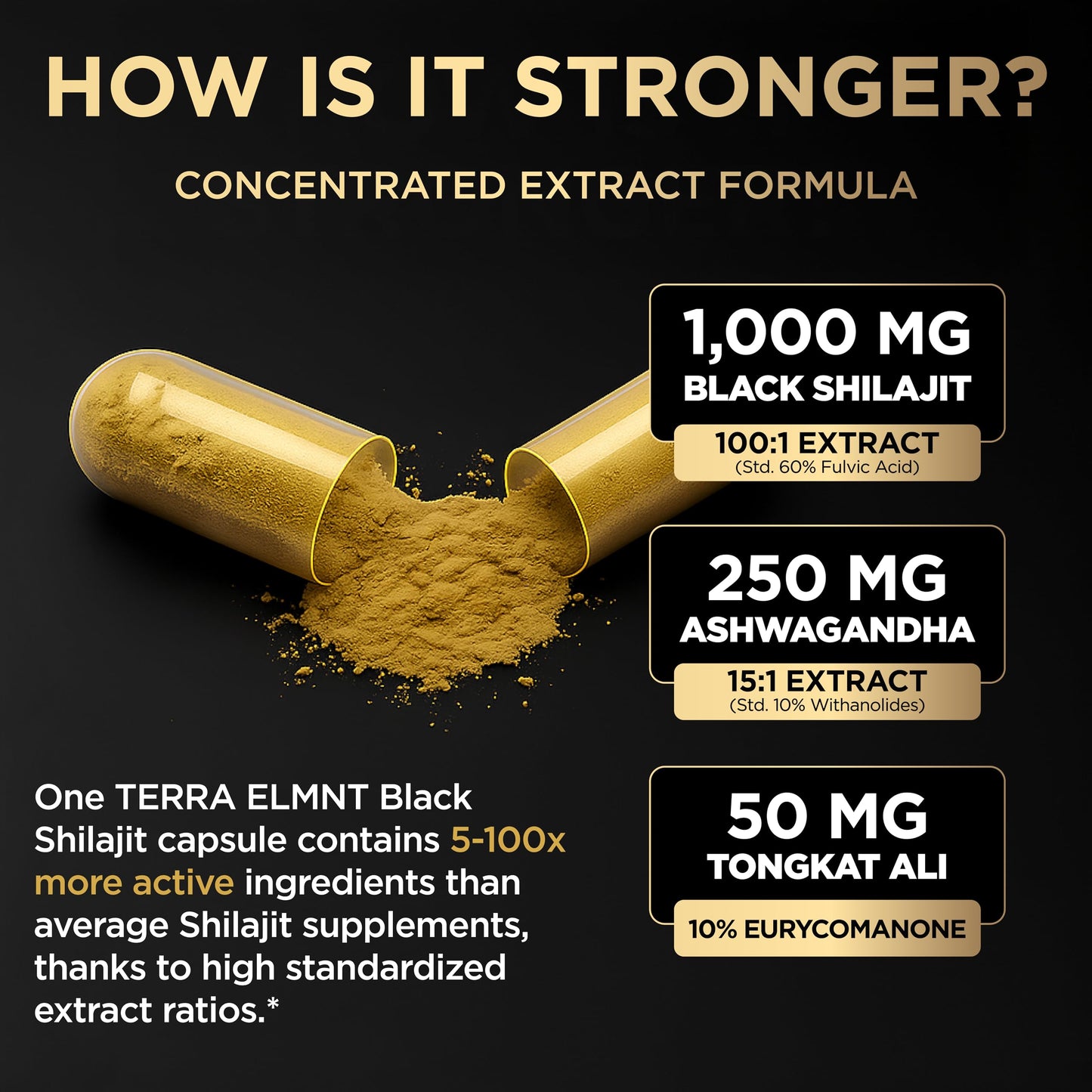 TERRA ELMNT high potency black shilajit capsules for male energy support