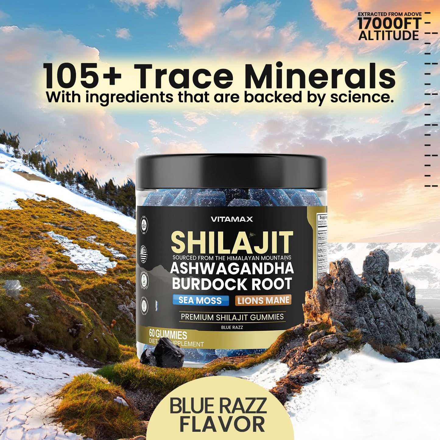 Vegan blue razz flavor shilajit gummies for cognitive focus and clarity