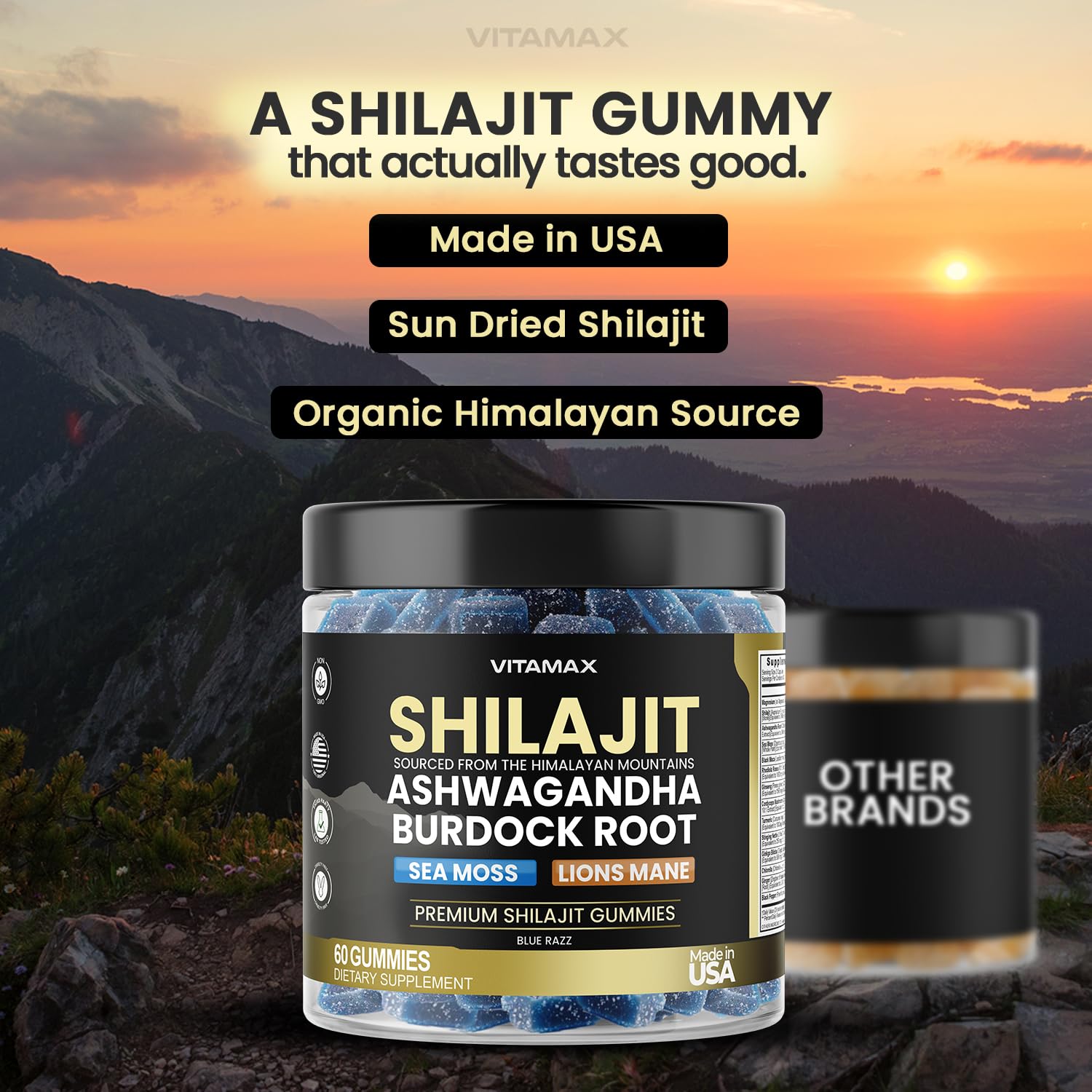 Premium shilajit and lion's mane mushroom gummies for stress management side angle