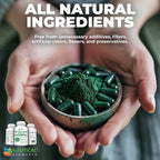 Nautical Elements Spirulina supplement bottle highlighting the 40 servings and 240 organic capsules label details