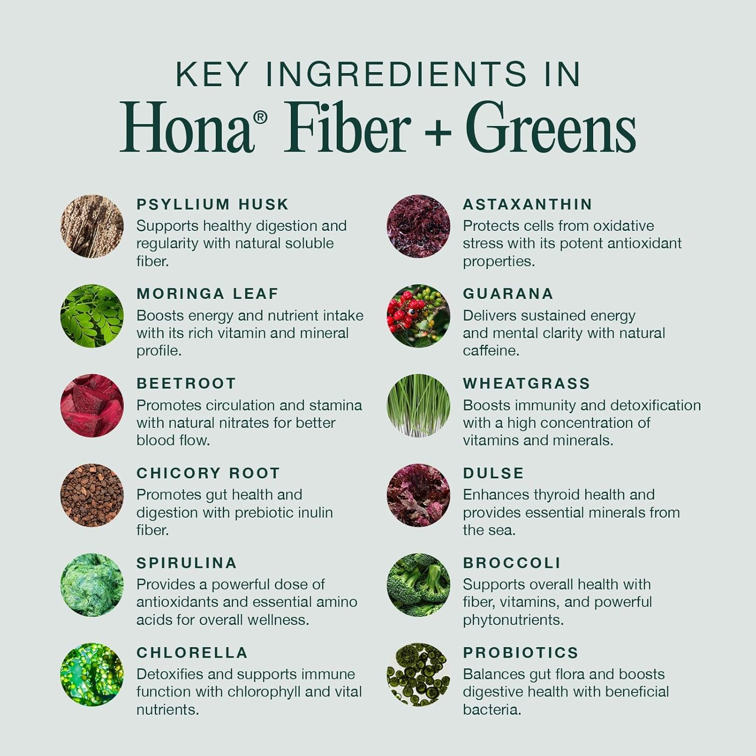 Hona fifteen servings antioxidant superfood drink mix for optimal daily gut performance