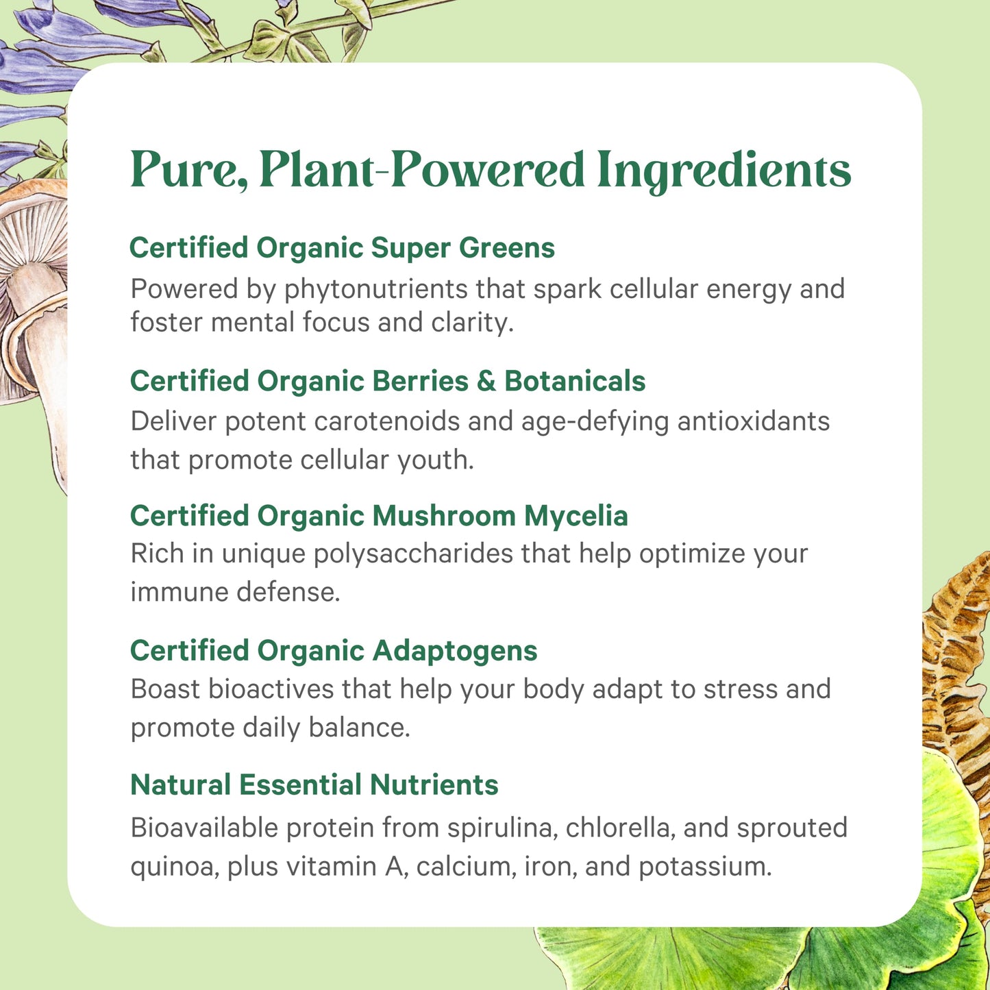 Pure Synergy USA imported dietary supplement packaging showing certified non-GMO and kosher seals
