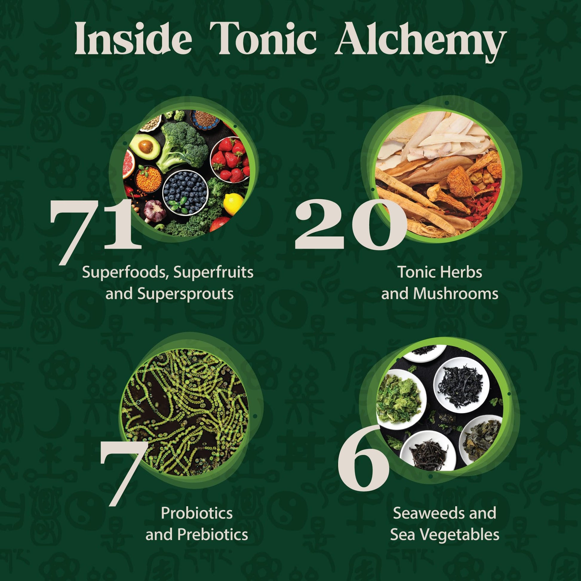 Dragon Herbs Tonic Alchemy imported supplement blended in a green smoothie