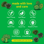 Authentic USA-imported Kwala Nutrition daily super greens supplement packaging.