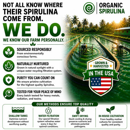 Clean water sourced BMAA free spirulina formula bottle back