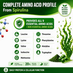 Pure antioxidant plant based green food supplement veggie capsules