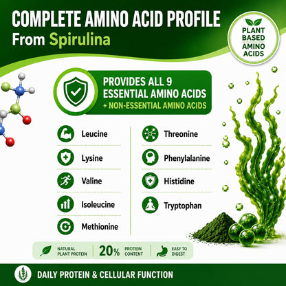 Pure antioxidant plant based green food supplement veggie capsules