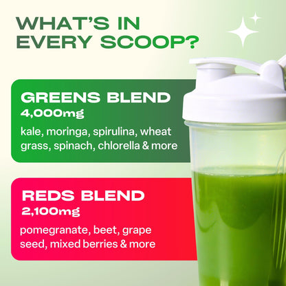 GoBiotix daily superfood blend with probiotics and digestive enzymes for bloating relief
