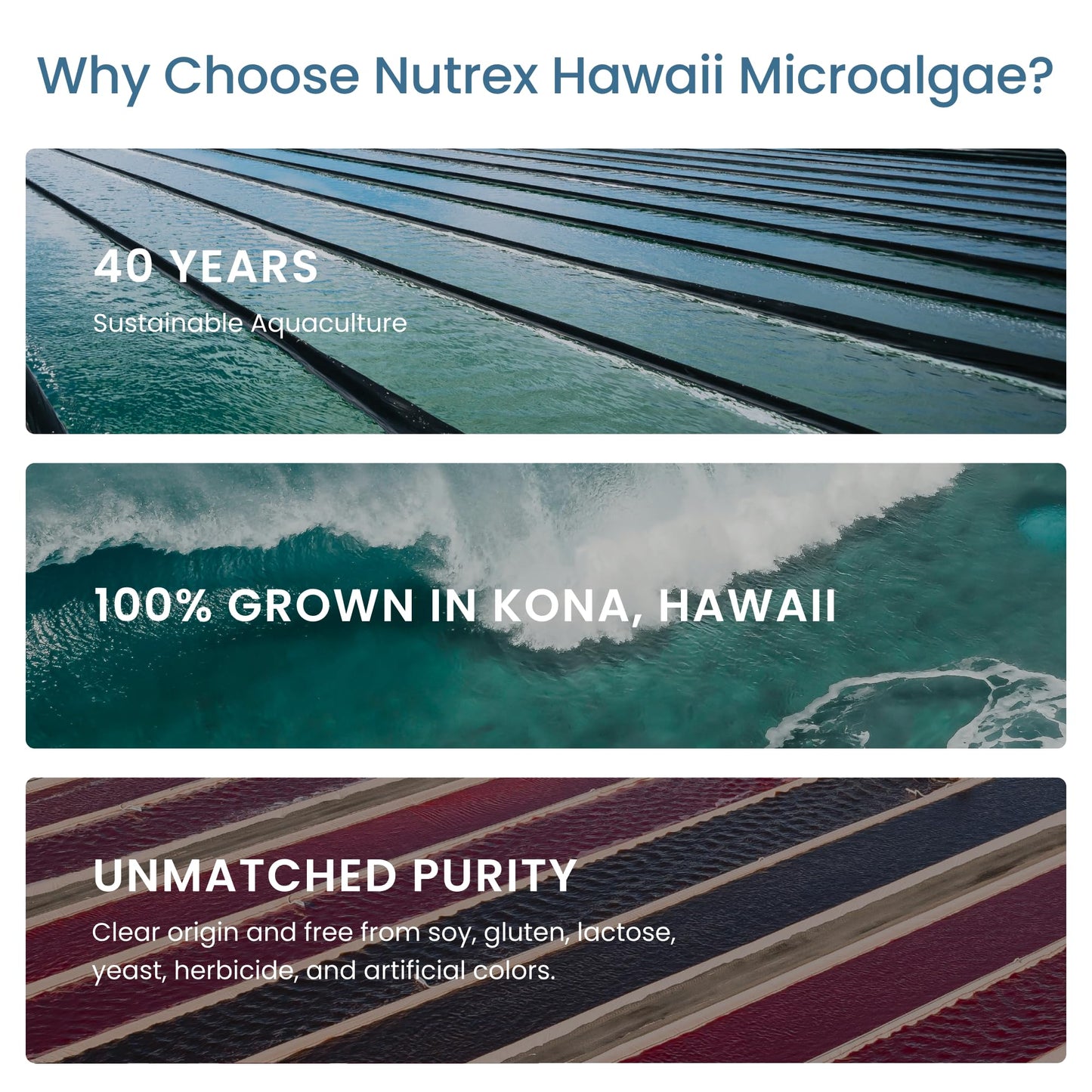 Nutrex Hawaii immune and cellular energy support health supplement close up view.