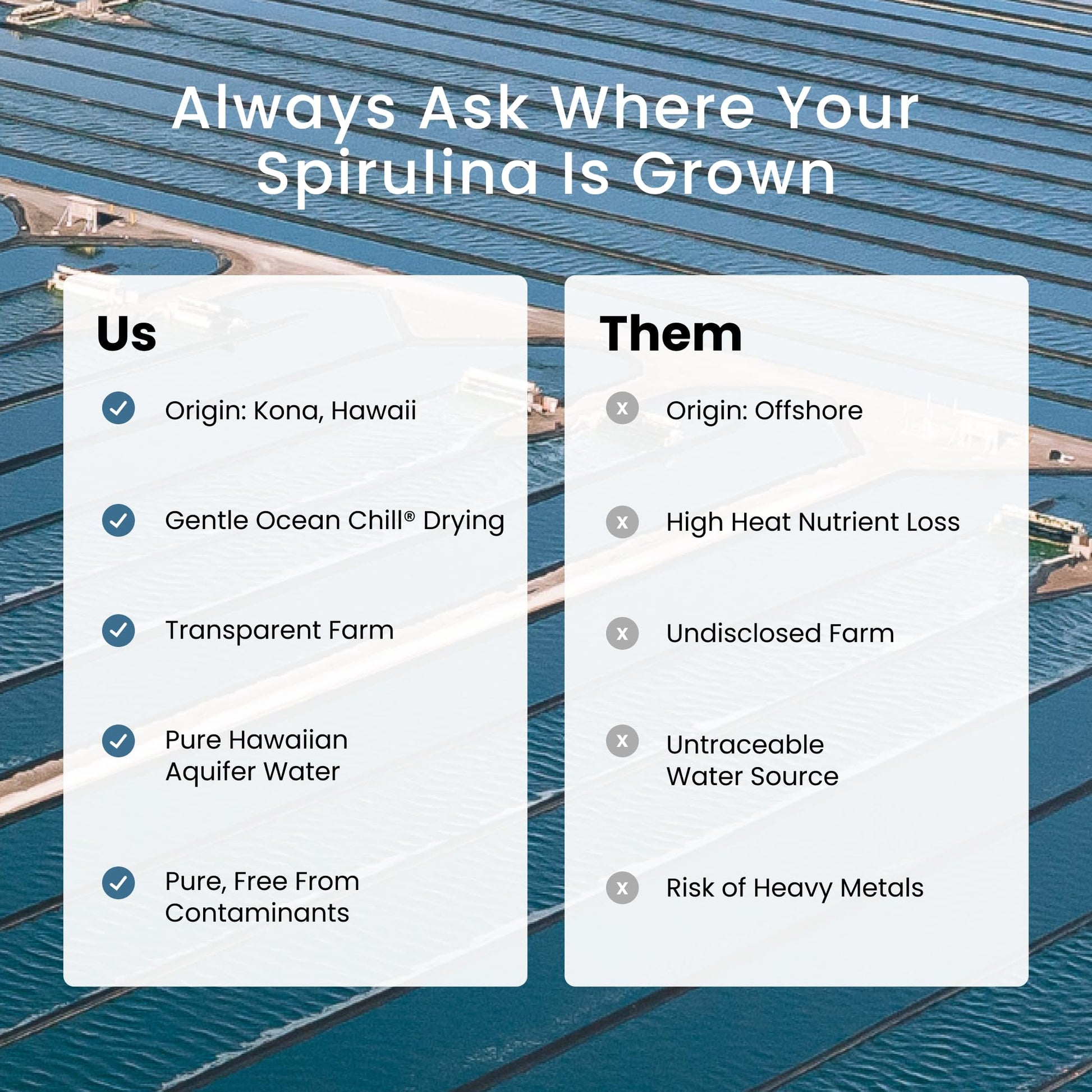 Pure green Hawaiian spirulina powder product layout highlighting the certified vegan seal.