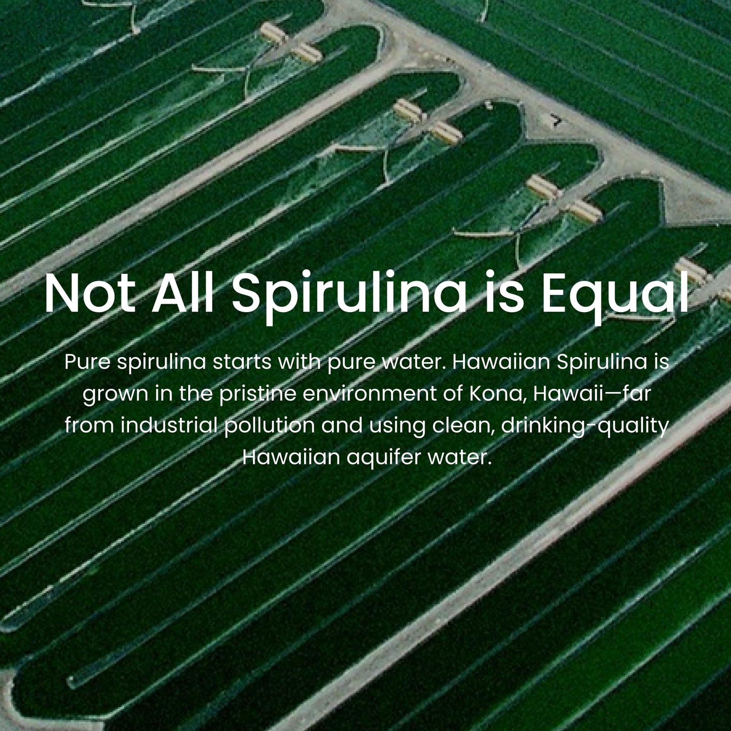 Nutrex Hawaii immune and cellular energy support spirulina supplement facts side view