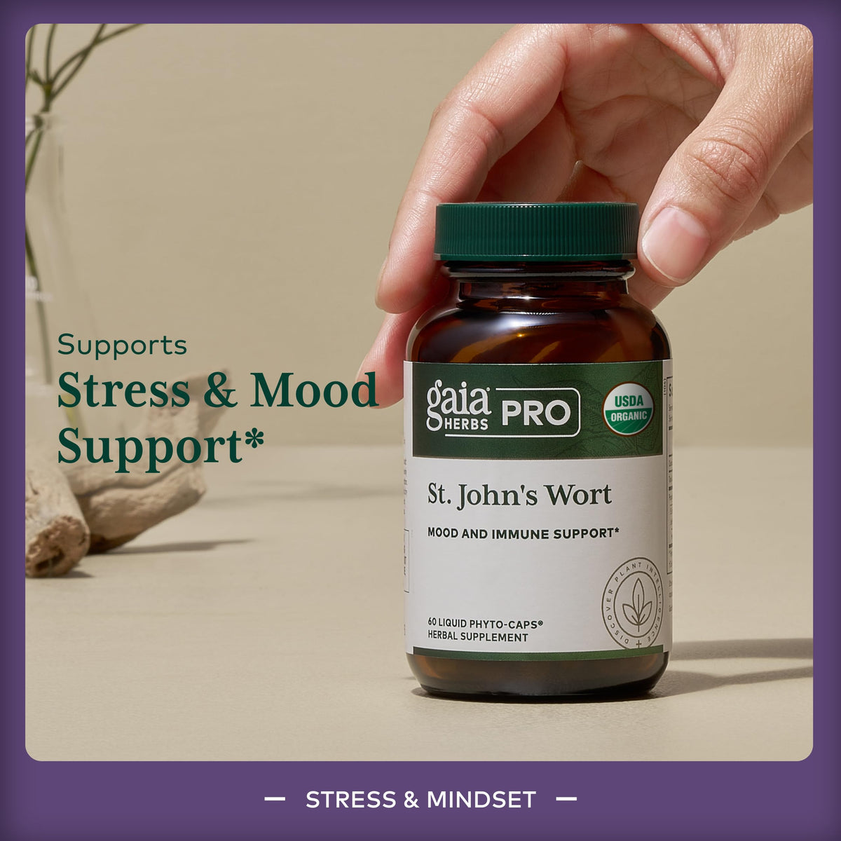 Back label view of Gaia Herbs Pro St Johns Wort highlighting 1350 mg extract dosage instructions.