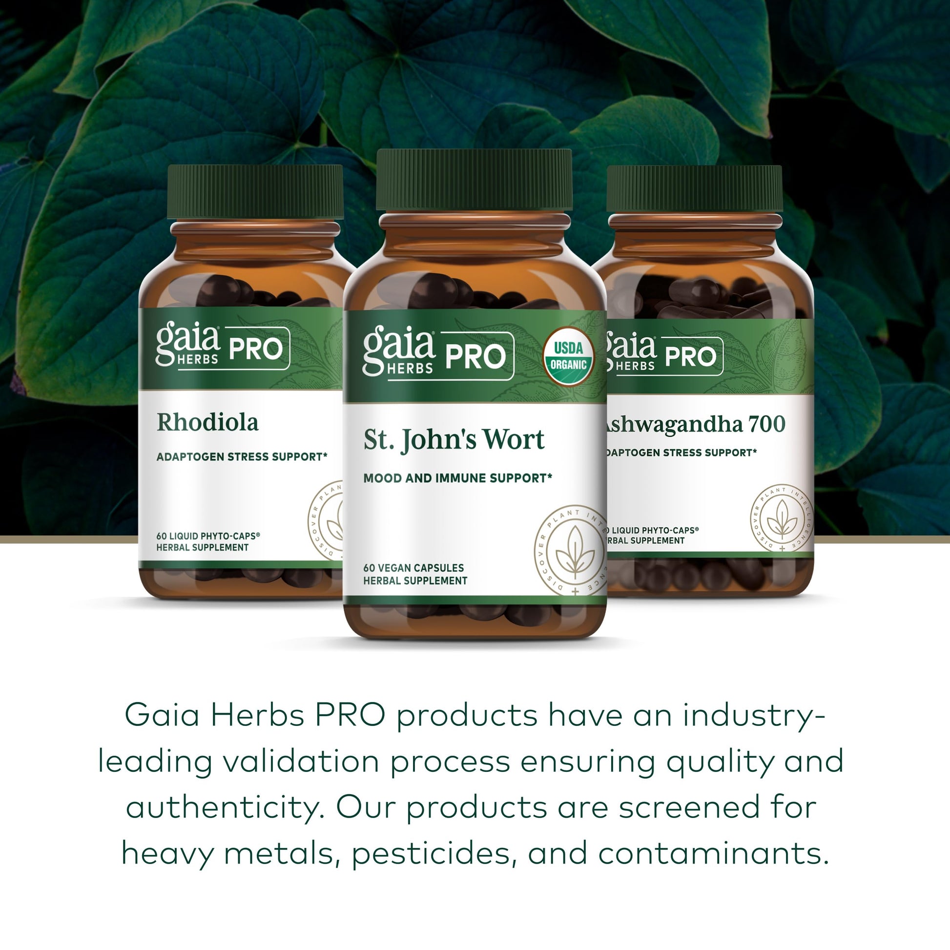 Nutritional facts panel on the Gaia Herbs Pro St Johns Wort immune support bottle.