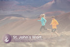 Non-GMO and gluten-free St Johns Wort capsules for emotional balance