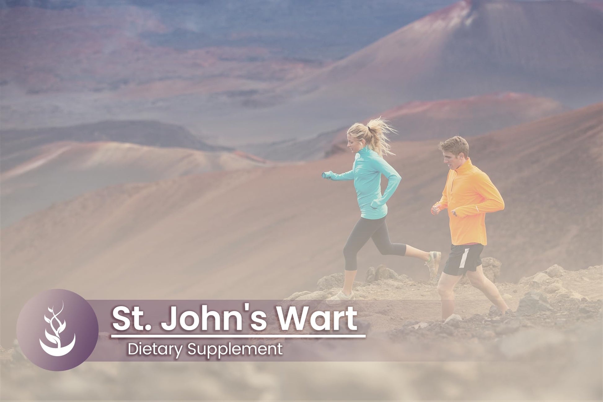 Non-GMO and gluten-free St Johns Wort capsules for emotional balance