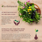 Best Botanicals St Johns Wort powder supplement back label showing natural ingredients and non GMO verification.