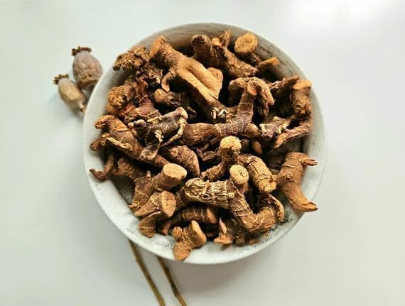 Close up view of premium dried Dixie John roots demonstrating the natural woody texture and authentic quality.