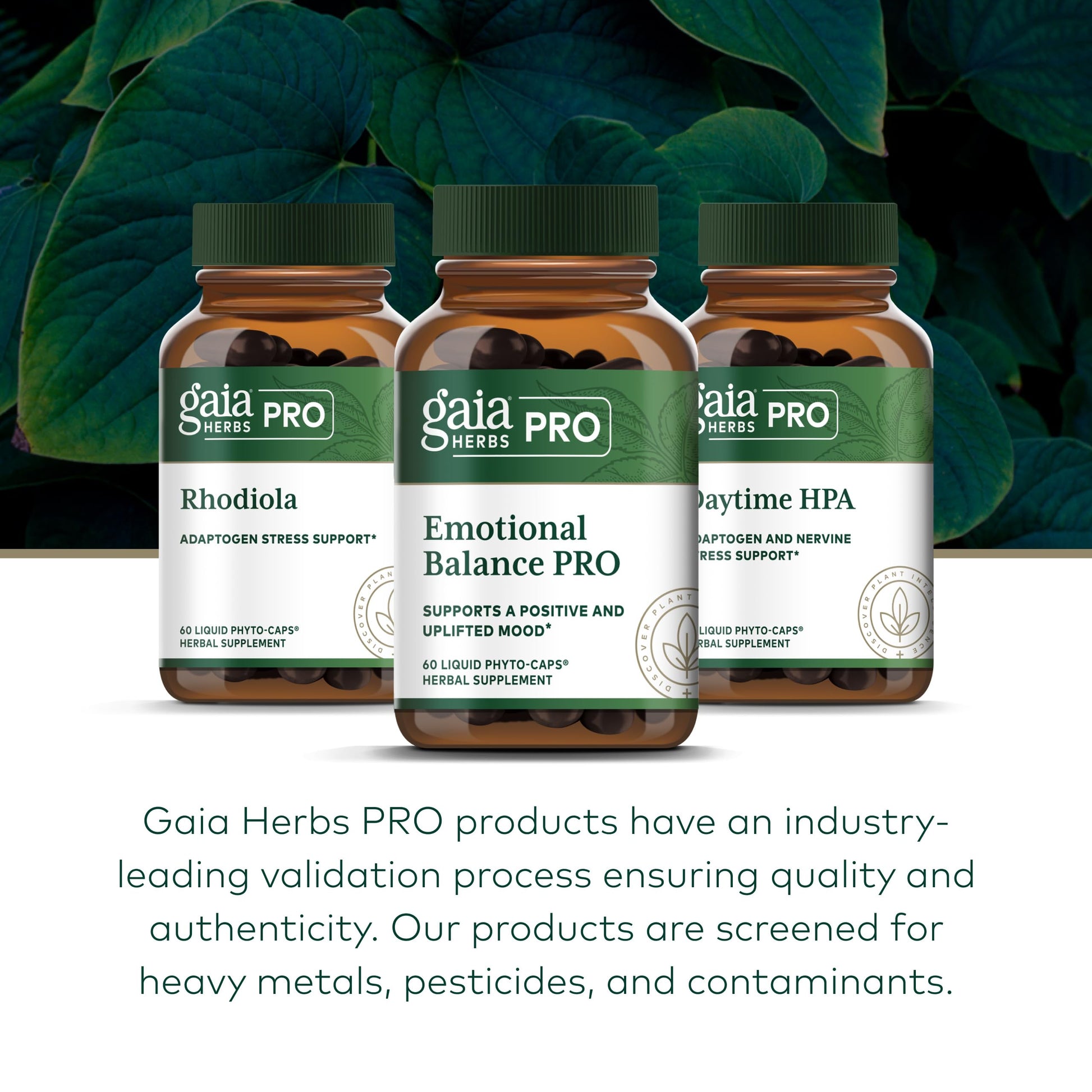 Gaia Herbs Pro Emotional Balance product package showing clear manufacturing details and ingredient list