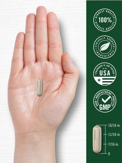 Authentic USA imported Carlyle milk thistle capsule packaging for Indian health consumers.