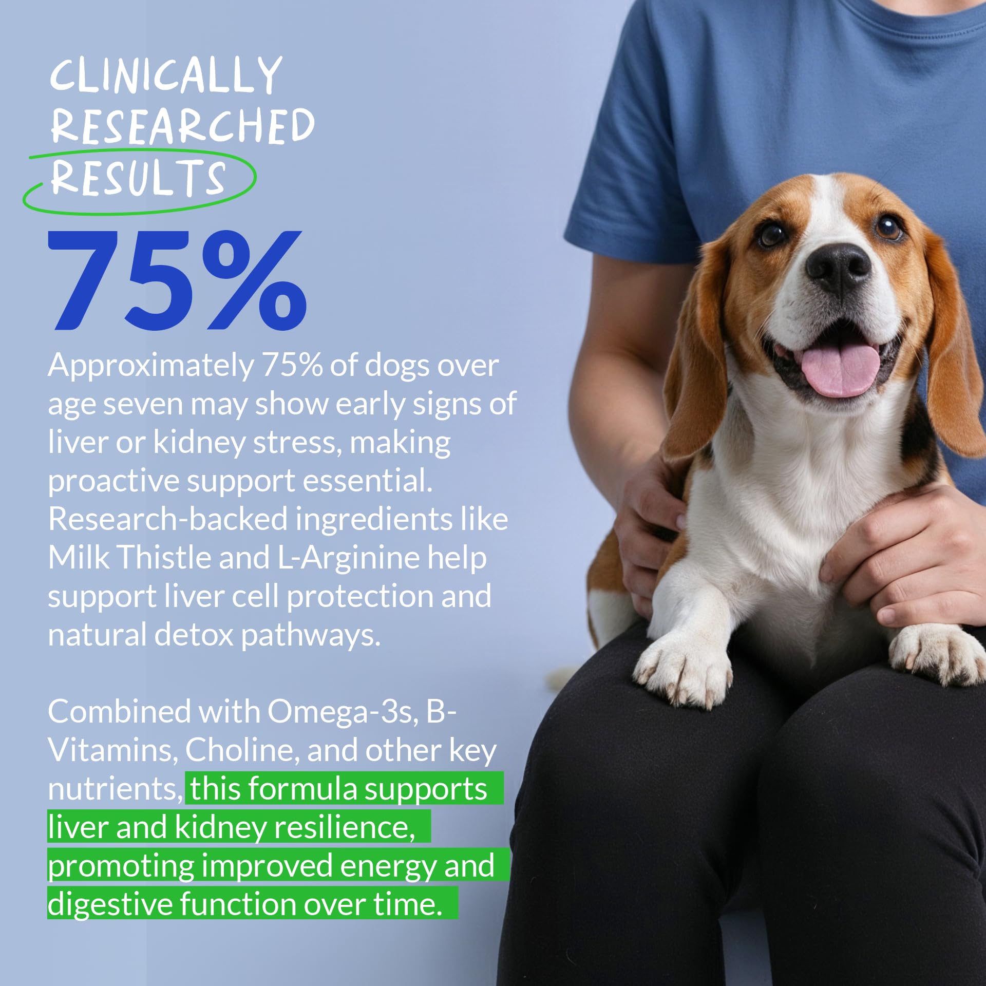 Bacon and liver flavored chewable dog supplement tablets by Coco and Luna for hepatic wellness.