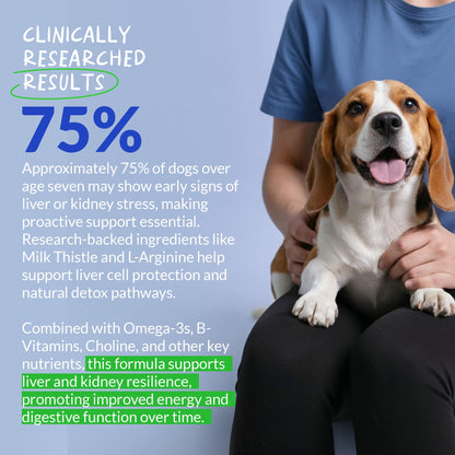 Bacon and liver flavored chewable dog supplement tablets by Coco and Luna for hepatic wellness.