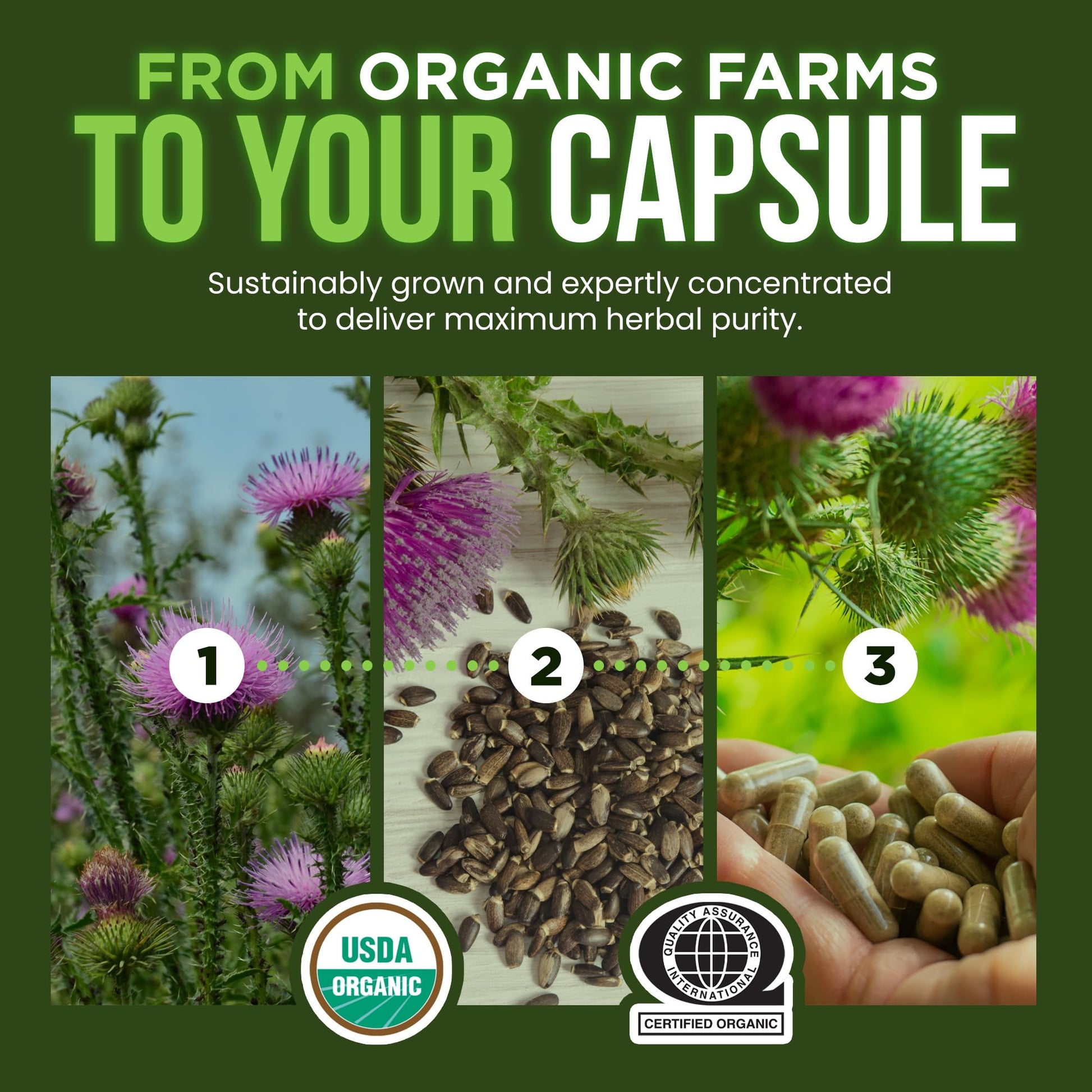 OmniBiotics liver support milk thistle 120 vegan caps packaging graphic instructions