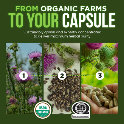 OmniBiotics liver support milk thistle 120 vegan caps packaging graphic instructions