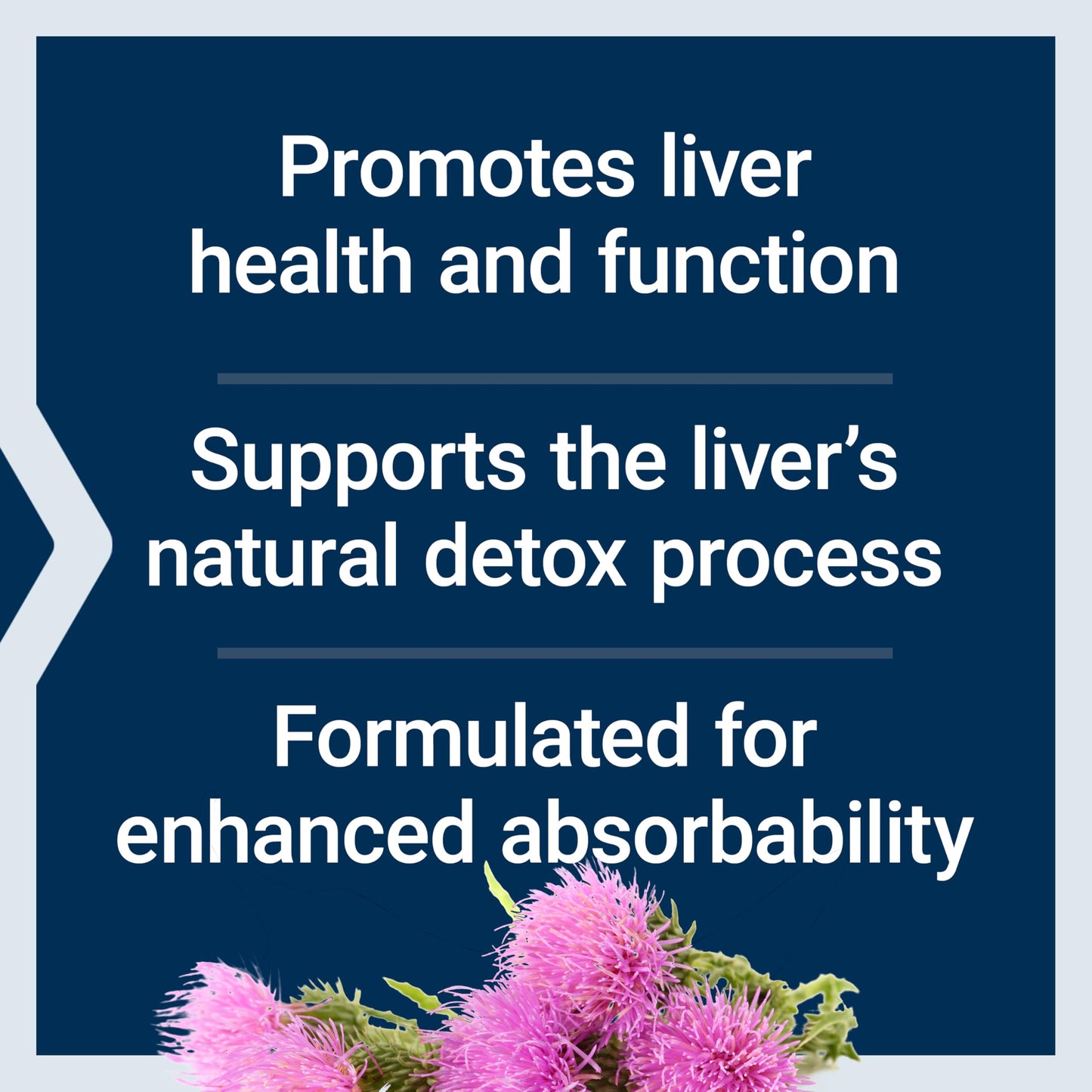 Premium USA imported milk thistle phytosome capsules for advanced absorption.