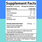 Holistic MD 60 gummies container showing fig and elderberry flavor details for lifestyle support