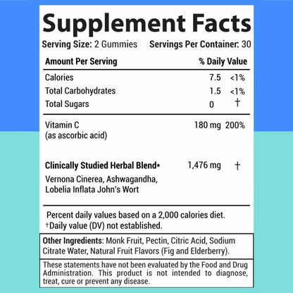 Holistic MD 60 gummies container showing fig and elderberry flavor details for lifestyle support