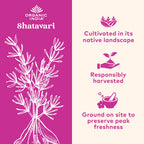 Authentic Organic India Shatavari capsules bottle side view