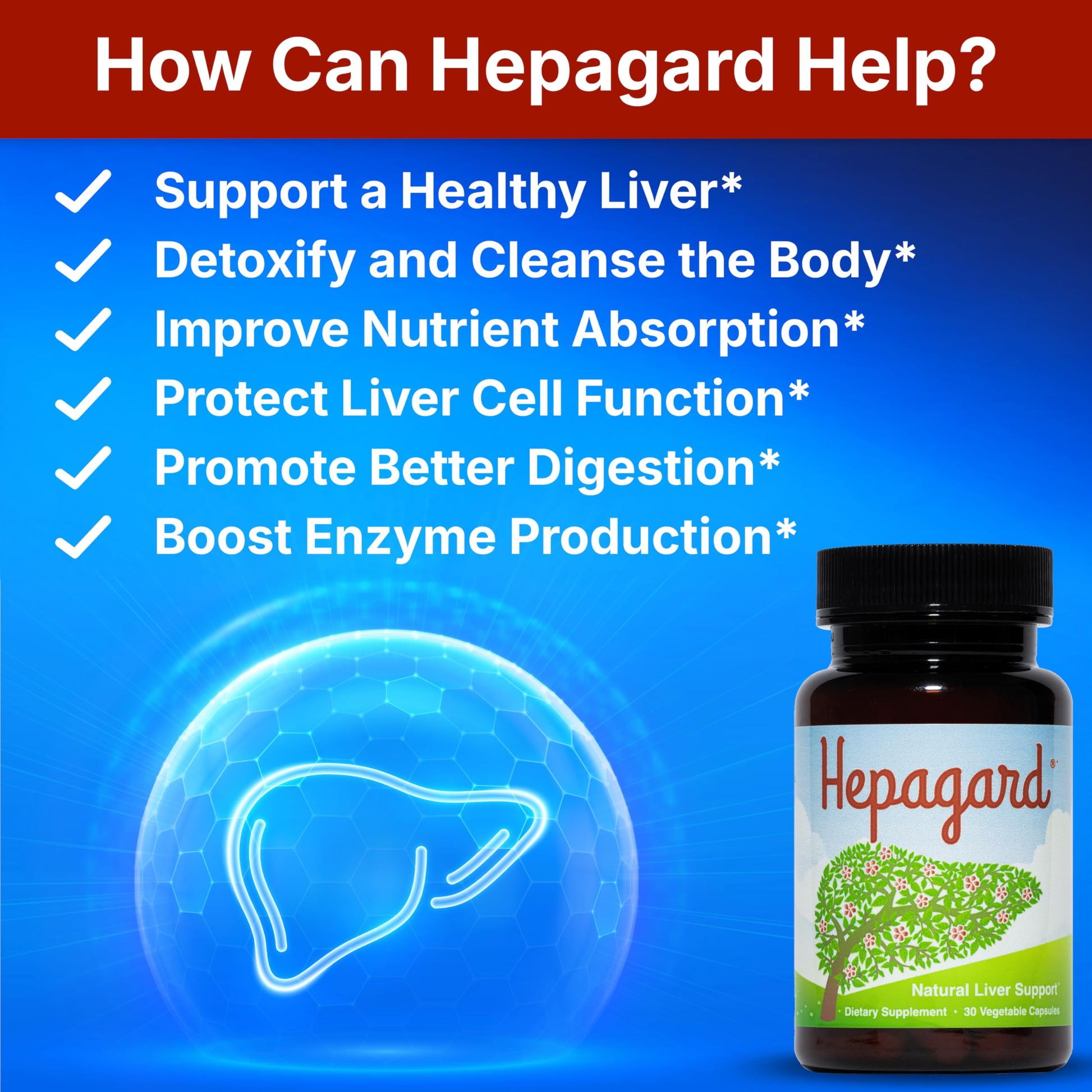 Hepagard Liver Support supplement bottle displaying the active ingredients NAC and Milk Thistle