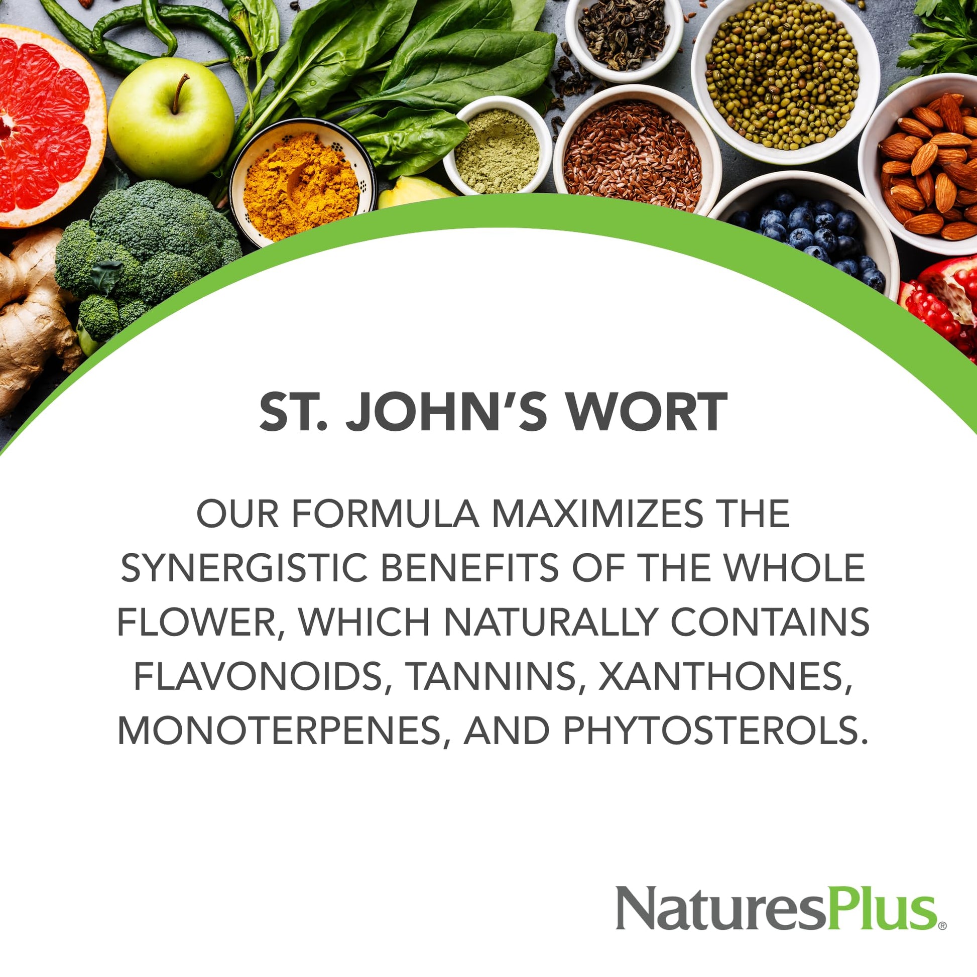 Side profile of NaturesPlus Herbal Actives botanical supplement bottle