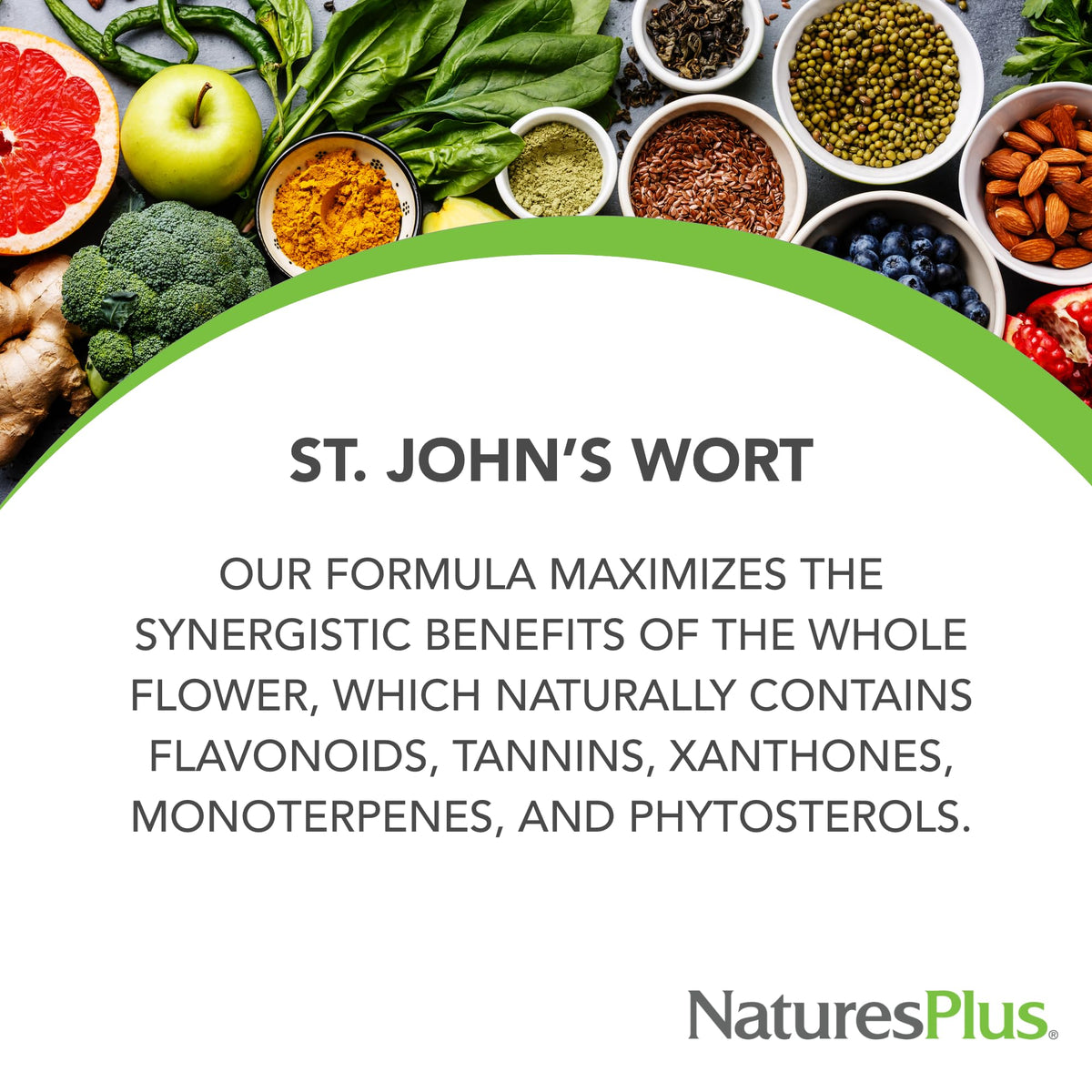 Side profile of NaturesPlus Herbal Actives botanical supplement bottle