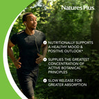 Close up of NaturesPlus St. Johns Wort tablet packaging details
