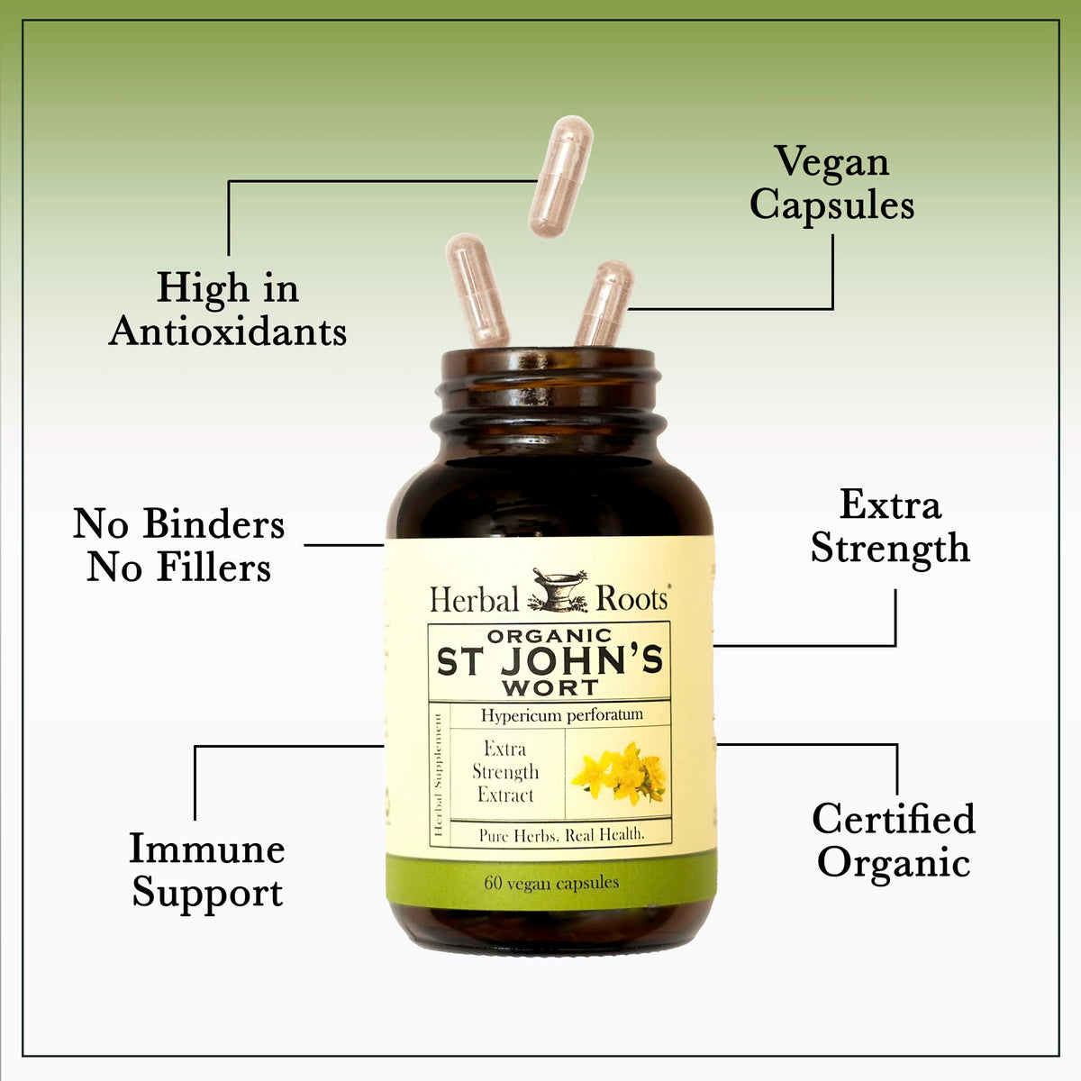 Herbal Roots St Johns Wort herbal supplement certification seals showing non GMO and zero fillers.