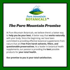 Top perspective of the non GMO gluten free St Johns Wort dietary supplement bottle seal.