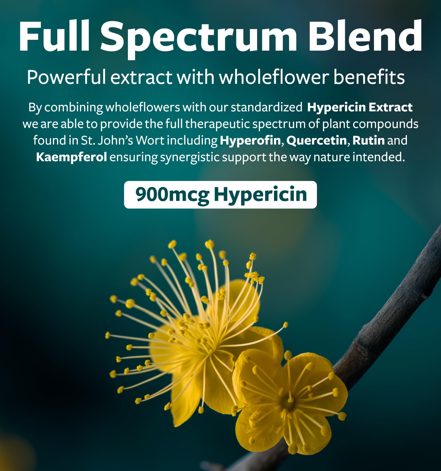 Side view of Healths Harmony St Johns Wort capsule bottle showing supplement facts
