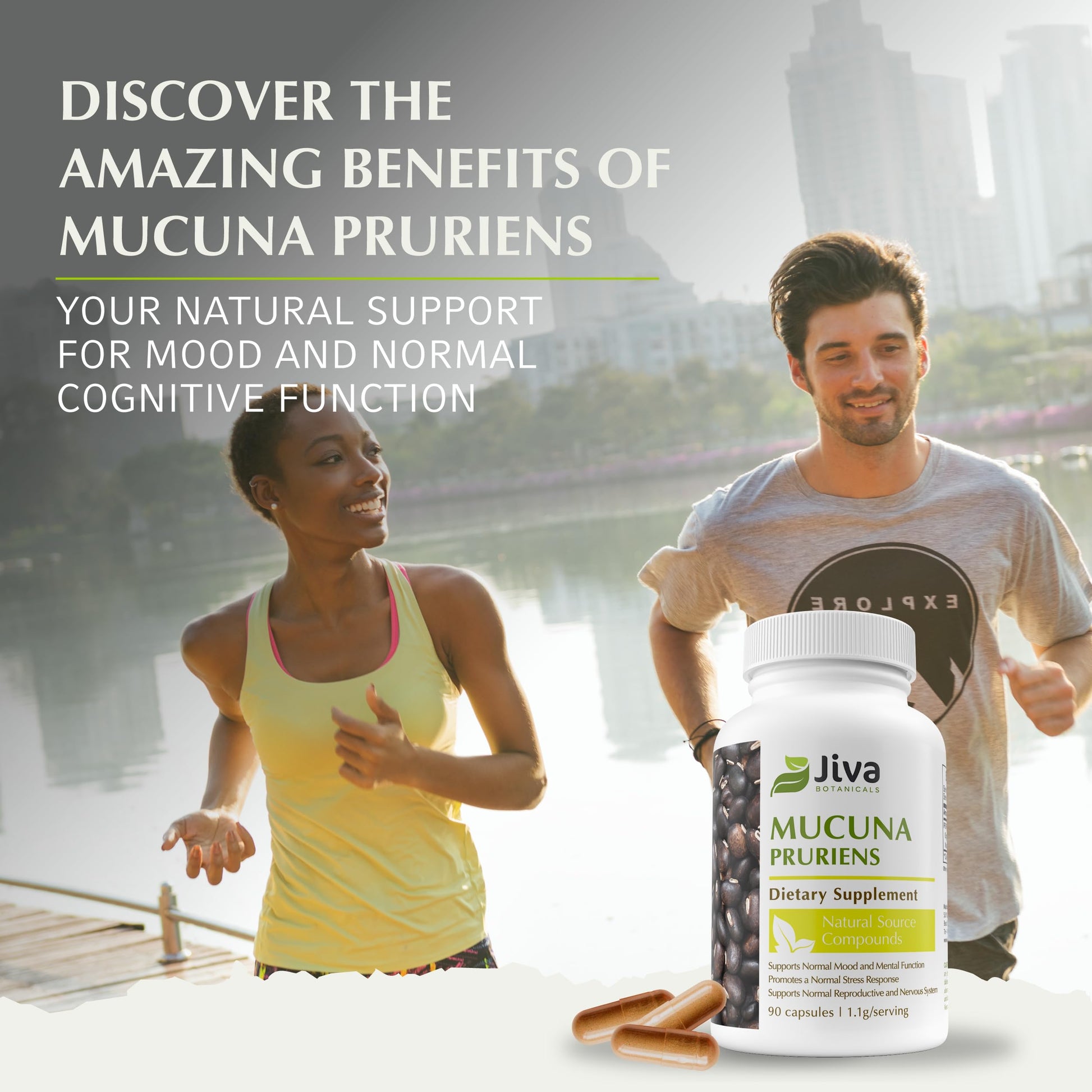 High potency dopamine support vegan capsules by Jiva Botanicals