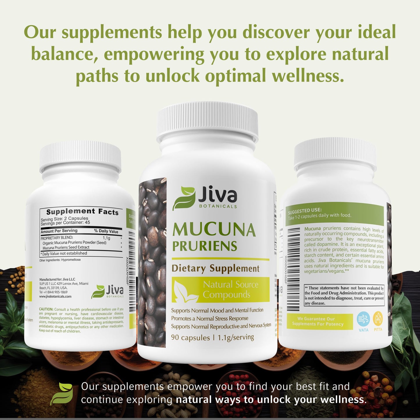 Natural L Dopa precursor capsules for mood and stress response