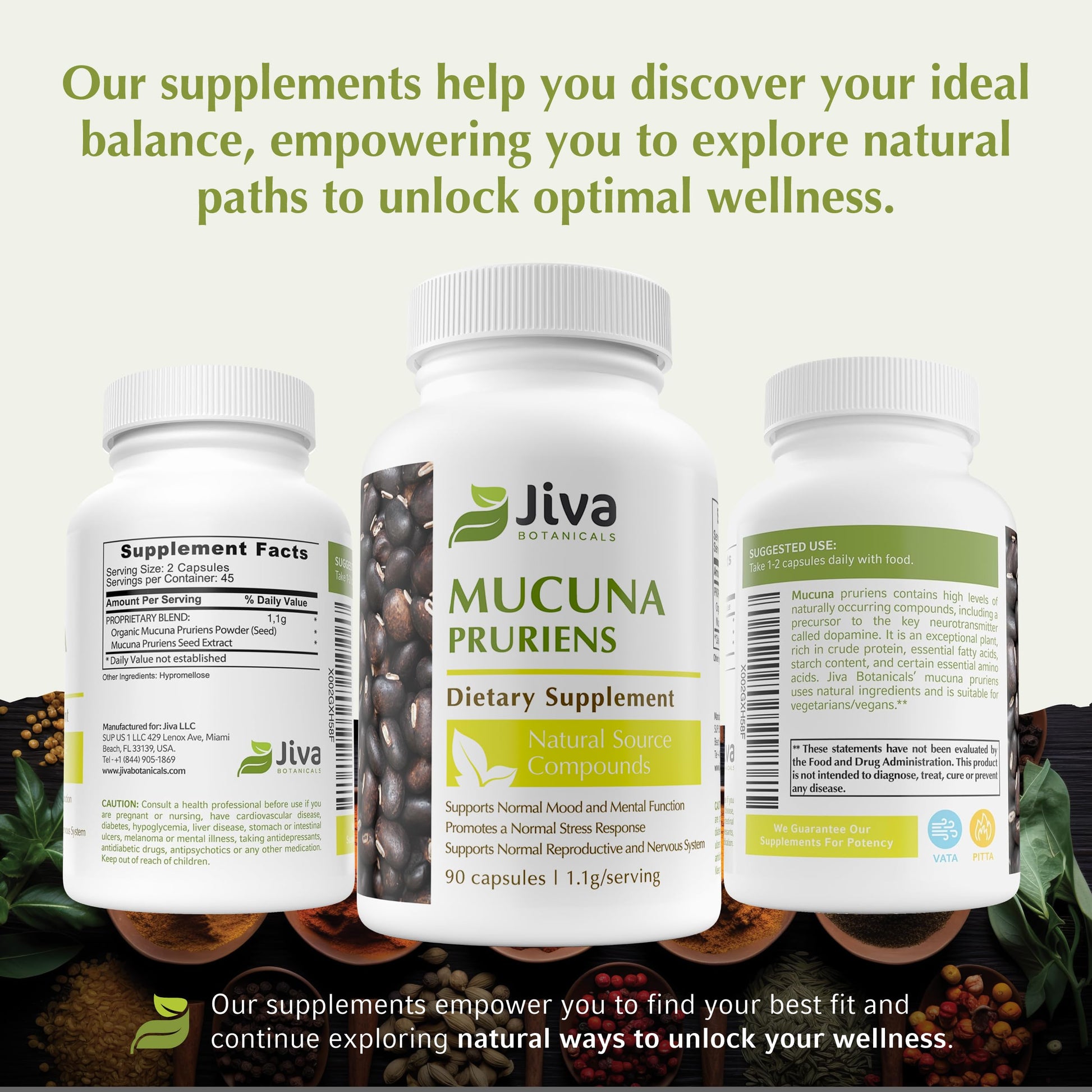 Natural L Dopa precursor capsules for mood and stress response