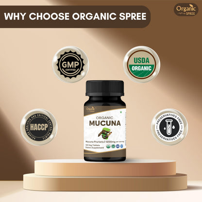 GMP certified organic dietary supplement packaging back view ingredients